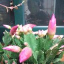 신모란식당 이미지