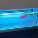 포낙보청기(안산센터) 이미지