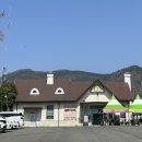 보보스(BOBOS) | 2023년 진해군항제 후기