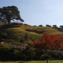 직동천 | 단풍산
