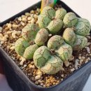 우근농장 이미지