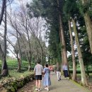 압해 정(丁)씨 시조묘 | 2025년 10월 4~5일 전남 해남, 목포, 신안 (명량해상케이블카, 진도타워, 압해정씨 시조묘, 보성 대한다원)