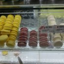 상남동237 이미지