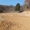 김재근농장 네이버블로그