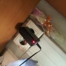 카모스 이미지