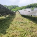 무성햇빛발전소 이미지