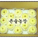 큰솔농장 이미지