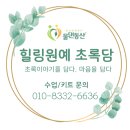비전환경 | 2026년 물댄동산 지부워크샵 성장·비전 공유회｜지속가능한 생태환경 원예체험 프로그램 공유회 후기