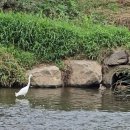 안산천수변공원1 이미지