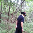 태기산농장 이미지