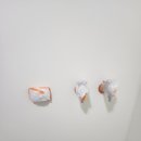 바이오힐스 이미지