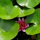 둥이네 농장 이미지