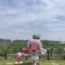 별빛농원 이미지