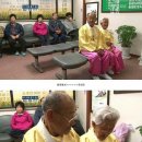 백년회로 이미지