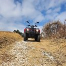 전진농장 이미지