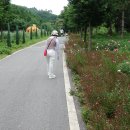 수남농장 이미지