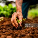 웰빙라이프 이미지