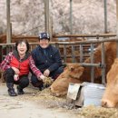 강영식축사 이미지