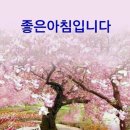 꽃향기 이미지