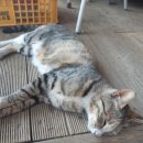 태승농장 이미지