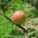 병은농장 이미지