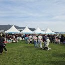 [생태체험] 대저생태공원 - 5월 26일(일) 오전 | 제22회 부산도시농업박람회 대저생태공원 유채꽃 즐긴 후기