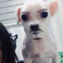 &#34;꽈기야 니 요즘 뭐하냐&#34; 라고 묻는다면