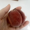 고니세탁소 이미지