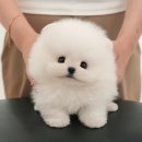 연제구-045 이미지