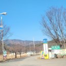 박소현미나리 이미지