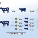 설국농장 이미지