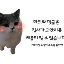 소소떡볶이청주 이미지