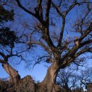 상창리-4 이미지