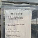 하원농장 | [화성] 수원 근교 아이랑 갈만한 곳. 달콤한 딸기 따기 체험할 수 있는 달콤 딸기농장
