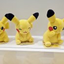 주식회사 하늘소풍 이미지