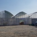 나눔농장 이미지