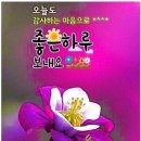 9월 9일 월요일 날씨정보 (입영 15일차) 이미지