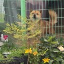 호림농장 이미지