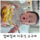 소라청과 - 논산시 계백로 1677 | 소라청과
