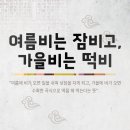 떡비 이미지