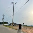 충의로 | 충남 예산 감성카페 추천, ‘여기서 행복할 것’ 내돈내산 후기