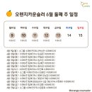 오렌지스터디 이미지