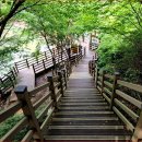 저수지 위를 걷는 출렁다리 가족,연인,친구들과 함께 산책하고 걷기 좋은 공원 이미지