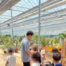 두리초등학교(병설) 네이버블로그