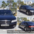 신사모터스 이미지