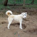 울산농장 이미지