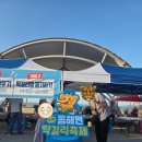 포항시남구40 | [포항, 남구] 포항 제1회 동해면 막걸리축제 후기!