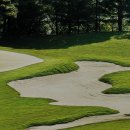 중앙골프 이미지