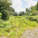 천인목장 이미지