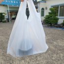 봉명 | 팔공산 맛집 봉명참숯가든 팔공산 오리구이 백숙